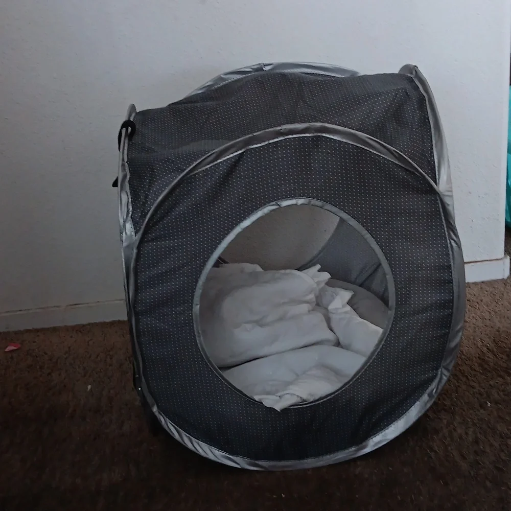 COPY - A cat bed